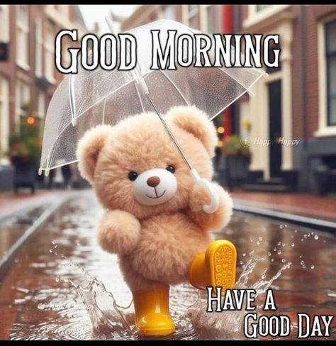 Rainy Day Quotes, Teddy Bear Quotes, Good Morning Happy Saturday, Lovely Good Morning Images, Happy Day Quotes, Good Morning Funny Pictures, Good Morning Sunshine Quotes, Rainy Morning, Happy Morning Quotes