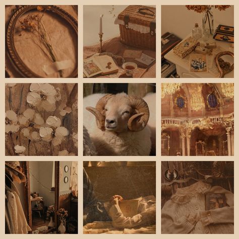 Light Brown Moodboard, Animal Moodboard Aesthetic, Bear Moodboard, Animal Moodboard, Academia Moodboard, Brown Moodboard, Fursona Ideas, Character Moodboard, Adopt Idea