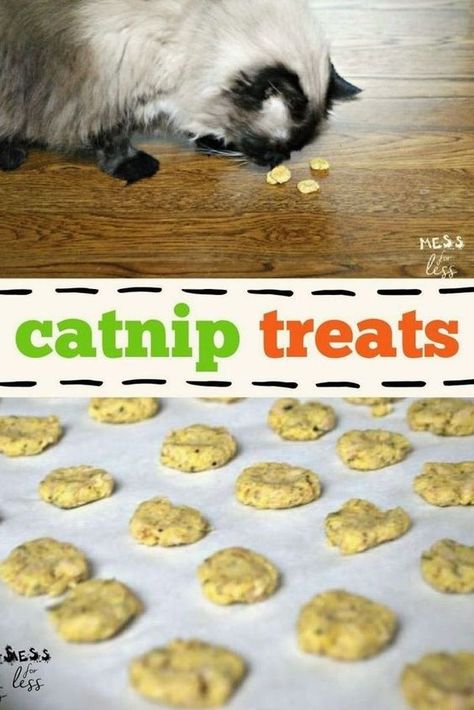 These Catnip Treats take 30 minutes to prepare! Feel good about what you give your cat with these delectable snacks that you can make using things you already have at home. Homemade Cat Treats Easy, Cat Treats Homemade Healthy, Diy Cat Treats Recipes, Homemade Cat Treats Recipes, Diy Cat Treats, Kitty Treats, Diy Cat Food, Catnip Treats, Pet Treats Recipes