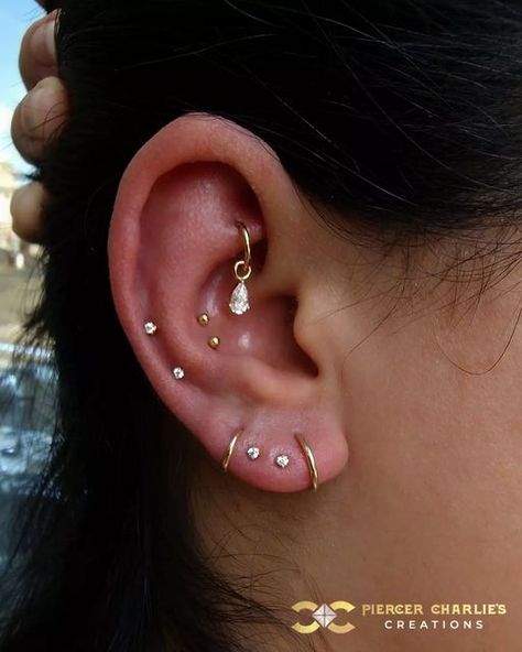 Two Forward Helix Piercings, Took Piercing, Conch Piercing Stud, Delicate Fine Jewelry, Forward Helix Piercing, Multiple Earrings, Cool Ear Piercings, Pretty Ear Piercings, Nose Earrings