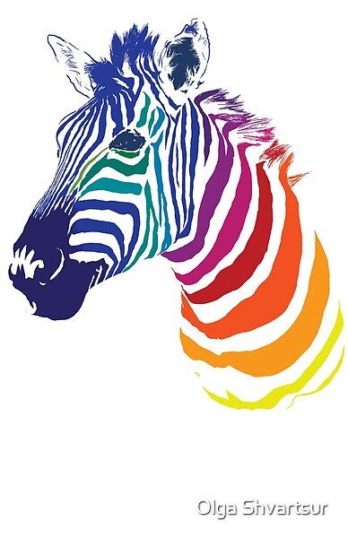 Zebra Tattoo, Zebra Tattoos, Tattoo Colorful, Artificial Plant Arrangements, Rainbow Zebra, Artificial Plants Indoor, Artificial Plant Wall, Artificial Plants Outdoor, Tattoo Designs For Girls