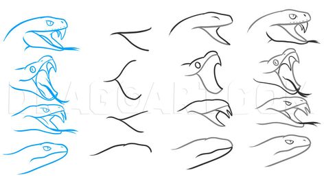 How To Draw Medusa, Draw Snake Easy, Snake Sketch, Snake Heads, Head Sketch, Snake Drawing, Mouth Drawing, Snake Head, Drawing Heads