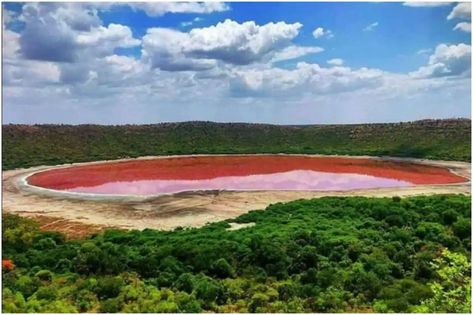 Lonar Lake in Maharashtra, India, turns pink due to flamingo's feathers Lonar Lake, Saline Water, Alien Photos, Utah Lakes, Forest Department, Pink Lake, Crater Lake, Water Bodies, Lake Water