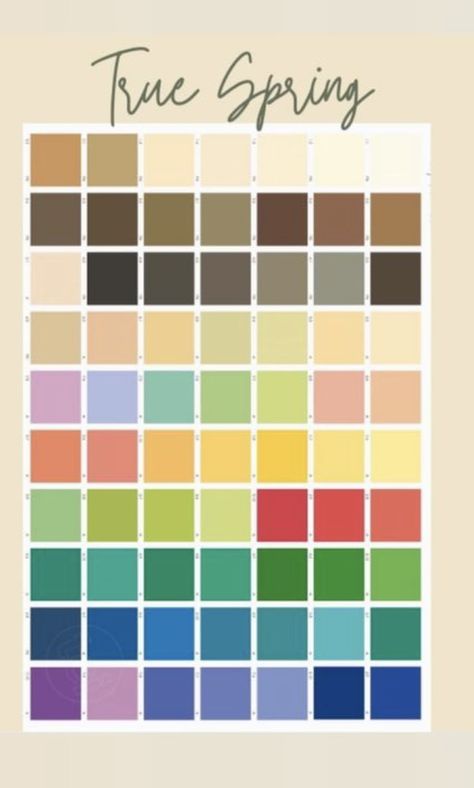 Toned Spring Color Palette, True Spring Neutrals, Warm Spring Palette, Warm Spring Color Palette, True Spring Color Palette, True Spring Colors, True Spring, Colour Analysis, Clear Spring