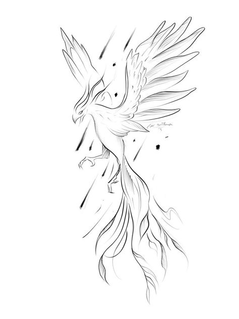 Fineline Phoenix Tattoo, Phinex Bird Tattoo, Phinex Tattoo, Fenix Tattoo Design, Phoenix Line Art, Phoenix Outline, Fenix Tattoo, Phoenix Drawing, Phoenix Tattoo Feminine