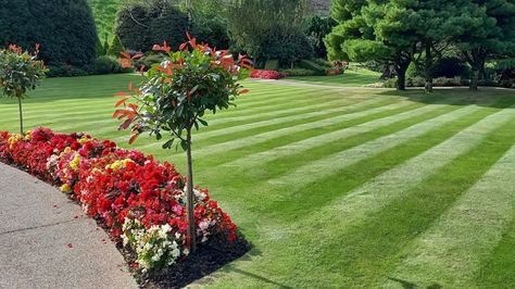 Ready for a beautifully manicured lawn full of gorgeous stripes? You don't need to break the bank. Try this lawn striper DIY trick instead with our guide. Manicured Lawn, Diy Lawn, Pea Gravel, Exclusive Home, Pvc Pipe, Hacks Diy, Clean Design, Lawn Mower, Yard Art