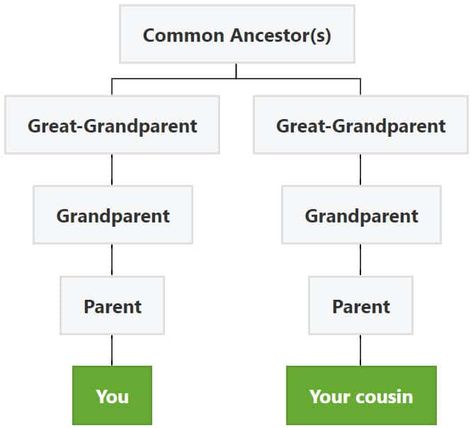 A third cousin is the child of your parent’s second cousin. Your second cousin is the child of your parent's first cousin, etc. Your children and your third cousin’s children would be fourth cousins. Cousin Relationships, Second Cousin, First Second Third, Half Siblings, Great Grandparents, Family Research, Immediate Family, Catholic Family, Close Relationship