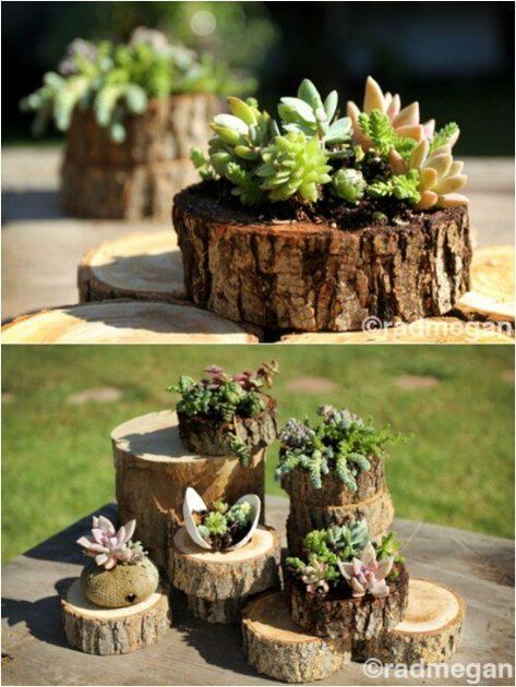 Tree Stump Planter, Wood Succulent Planter, Succulent Planter Diy, Succulent Garden Diy, Lawn Ornaments, Succulent Gardening, Succulents In Containers, Wood Planters, Cactus Y Suculentas