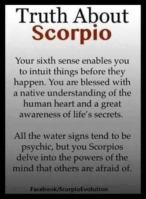 Scorpio Truth About Scorpio, Scorpio Aries, All About Scorpio, Quotes Crush, Aries Girl, Astrology Scorpio, Signs Quotes, Scorpio Traits, The Scorpions