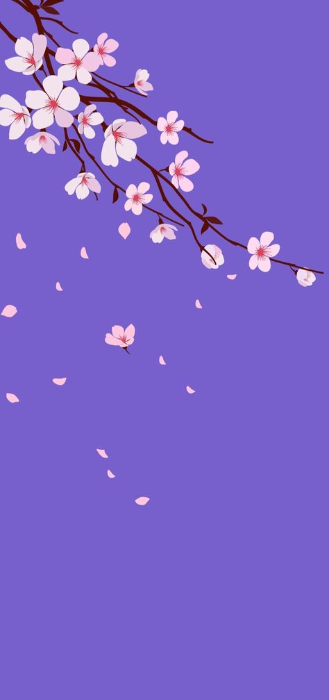 Cherry Blossom Night Wallpaper, Purple Sakura Wallpaper, Purple Cherry Blossom Wallpaper, Orchid Wallpaper Aesthetic, Purple Cherry Blossom, Purple Sakura, Blue Sakura, Blossom Wallpaper, Cherry Blossom Wallpaper