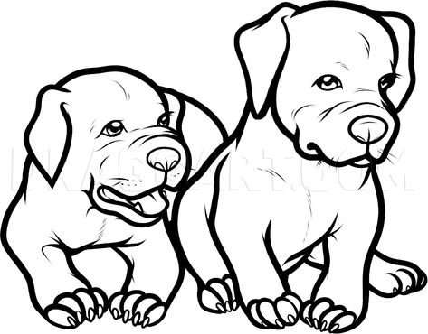 Cartoon Pitbull, Pitbull Colors, Baby Pitbulls, Pitbull Drawing, Pitbull Dog Puppy, Pitbull Dogs, Dog Coloring Book, Dog Patterns, Puppy Coloring Pages