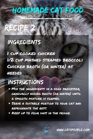 Food Surprise, Homemade Cat Treats Recipes, Cat Food Recipe, Cat Food Recipes, Cheap Recipe, Diy Cat Food, Healthy Cat Food, Pet Treats Recipes, Raw Cat Food Recipes