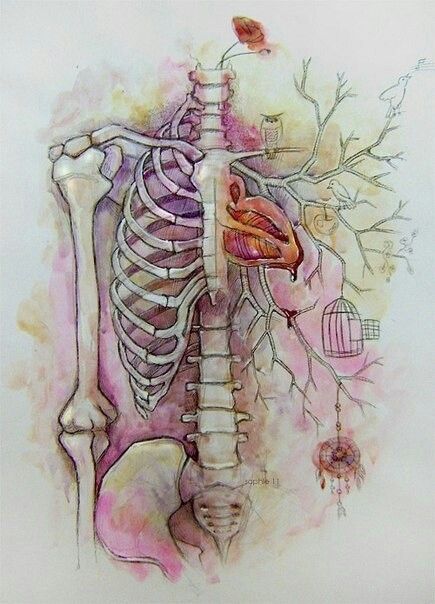 Heart tree Expecto Patronum Tattoo, Human Skeleton, Human Anatomy Art, Skeleton Art, Medical Art, The Human Body, Art And Illustration, Anatomy Art, Lungs