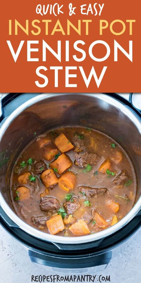 Venison Soup, Pressure Cooker Stew, Deer Butchering, Instant Pot Stew, Instant Pots, Instapot Meals, Venison Stew, Deer Recipes, Instant Food