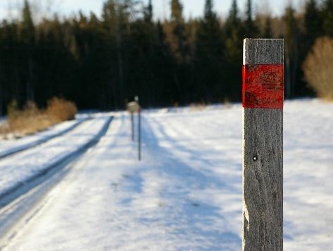 diy-winter-driveway-markers-pm Driveway Markers Diy, Driveway Marker Ideas, Cement Driveway, Driveway Markers, Diy Driveway, Pet Gates, Log Cabin Plans, Dog Lounge, Rusted Steel