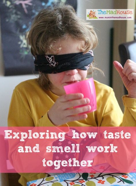 Exploring your sense of smell and taste via The Mad House.  A super science activity for kids Sense Of Smell Activities, Smell Activities, Balloon Hovercraft, Fun Experiments For Kids, Taste Sense, Fun Experiments, Senses Preschool, My Five Senses, Senses Activities