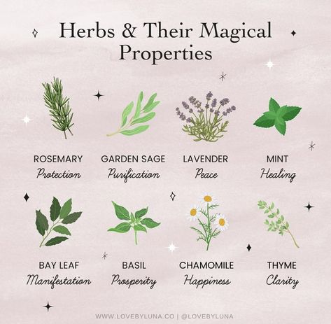 Rosemary Garden, Herbal Witch, Witch Herbs, Green Witchcraft, Magic Herbs, Magical Herbs, Magick Book, Natural Healing Remedies, Diy Plant Hanger