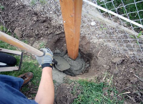 Will Wooden Fence Posts Rot in Concrete? Here’s What You Need To Know Concrete Fence Posts, Concrete Bags, Wood Fence Post, Wooden Fence Posts, Metal Fence Posts, Fence Pickets, Concrete Fence, Fence Posts, Metal Fence