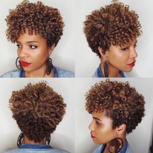 Short Crochet Braids, Brown Pixie, Curly Afro Wig, Wigs Blonde, Curly Crochet Hair Styles, Blonde Highlight, Curly Hair Photos, Pelo Afro, Afro Wigs