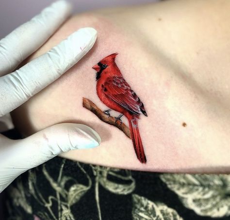 Cardinal Mandala Tattoo, Owl And Cardinal Tattoo, Realism Cardinal Tattoo, Red Robin Bird Tattoo, Cardinal Shoulder Tattoo, Red Cardinal Tattoo Small Memorial, Red Bird Tattoos For Women, Cardinal Birds Tattoo, Cardinal Flying Tattoo