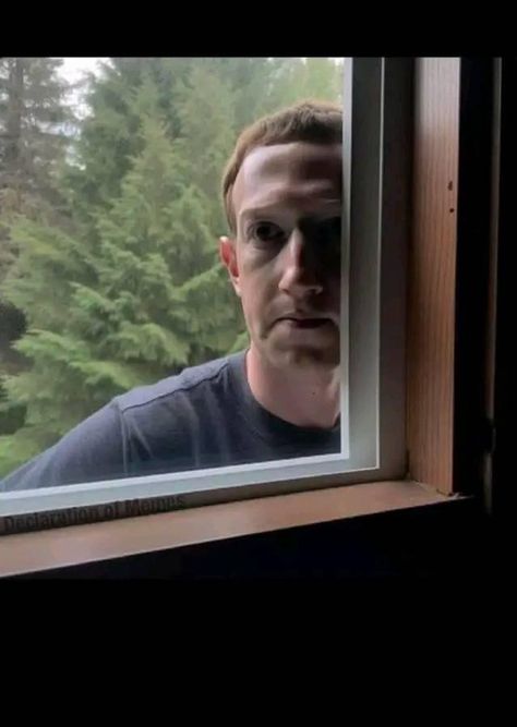 Zuckerberg Meme, Funny Marketing, Somebody's Watching Me, My Honest Reaction, Honest Reaction, Mark Zuckerberg, Silly Images, Out Of Context, Meme Template