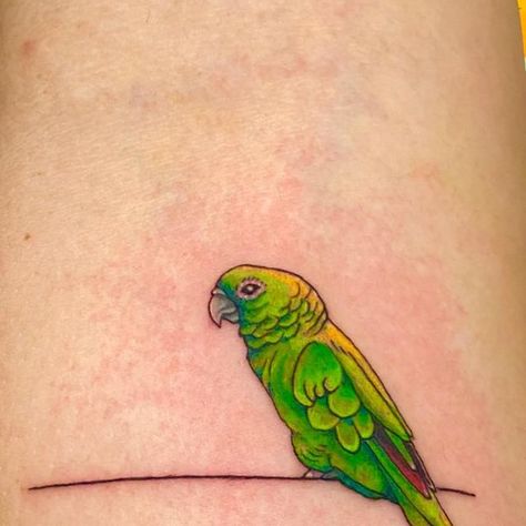 Macaw Tattoo, Margaritaville Parrot Tattoo, Green Parrot Tattoo, Amazon Parrot Tattoo, Parrot Feet Tattoo, Parrot Tattoo, Amazon Parrot, Female Tattoo Artists, Female Artists