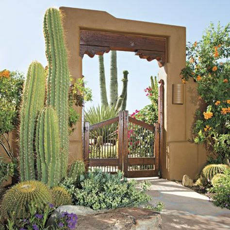 Gate Garden, Arizona Garden, California Landscaping, Cactus Garden Landscaping, Desert Backyard, Arizona Gardening, Spanish Garden, Arizona Landscape, Front Courtyard