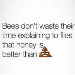 Got Your Back Quotes, Dont Waste Your Time Chasing Butterflies, Be Like A Bee Quote, Time Flies Quotes, Busy Bee Quotes, Bees Dont Waste Their Time Quote, Bees Don't Waste Their Time Explaining To Flies, Bees Don’t Waste Their Time, Bee Quotes