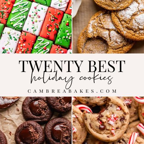 Join in on the holiday baking fun with our favorite holiday cookie recipes perfect for party platters, cookie exchanges, and gifts! Best Cookies To Give As Gifts, Most Pinned Cookie Recipe, Cookie Bake Off Ideas, Cookie Tray Bake, Impressive Baked Goods, Big Christmas Cookies, Cookies For Large Groups, Big Batch Cookies Recipes, Cookie Mix Ins