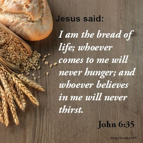 Jesus said: I am the bread of life; whoever come to me will never hunger; and whoever believes in me will never thirst. John 6:35  . John 6 35, Belief Quotes, Bread Of Life, Greg Laurie, Who Is Jesus, Our Father In Heaven, Jesus Said, Daily Devotions, Come To Me