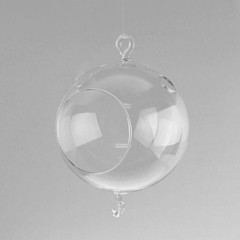 Clear Glass Globe Terrarium Air Plant Candle Holder Height 4Inch w Hook 6Pack -- You can get more details by clicking on the image. Globe Terrarium, Plant Candle, Plant Home Decor, Hanging Terrarium, Plant Home, Round Candles, Glass Terrarium, Diy Vase, Glass Holders