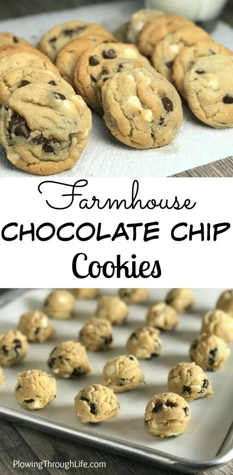 This is the BEST chocolate chip cookie recipe!  If you want a great cookie, be sure to use real butter. � The milk chocolate and white chocolate chips and butter flavored shortening really put this recipe over the top as a crumbly and memorable treat.    #cookie #chocolatechip #chocolatechipcookie White Chocolate Chip Cookies Recipes, Best Chocolate Chip Cookie Recipe, Hamburger Steaks, Milk Chocolate Chip Cookies, Best Chocolate Chip Cookies Recipe, Double Chocolate Chip Cookies, Best Chocolate Chip, White Chocolate Chip Cookies, Choc Chip Cookies