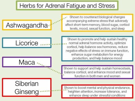 Adrenal Fatigue Symptoms, Chronic Fatigue Symptoms, Addisons Disease, Adrenal Support, Adrenal Health, Thyroid Health, Adrenal Fatigue, Cortisol Levels, Healing Herbs