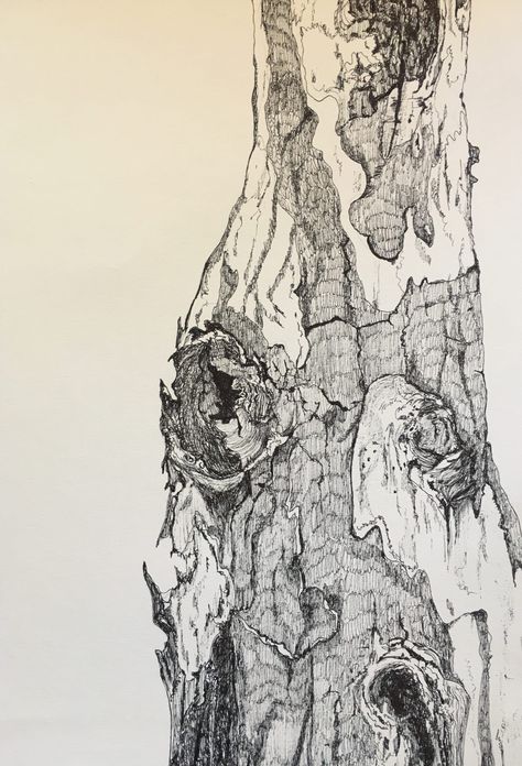 Tree Bark Drawing, Bark Drawing, Oak Tree Bark, Tree Bark Texture, Tree Drawings Pencil, Drawing Realistic, Art Alevel, Tree Textures, Nature Sketch