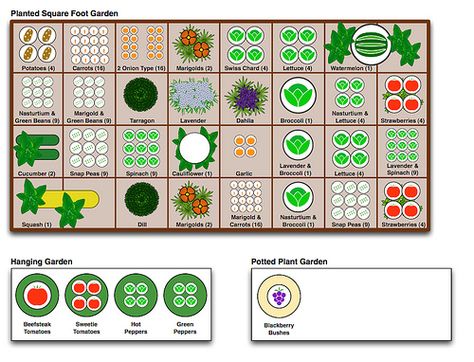 example of square foot garden plan.  can't wait to try something similar next spring! Square Foot Garden, Planting Garden, Companion Gardening, Garden Plan, Square Foot Gardening, Veg Garden, Have Inspiration, Food Garden, Plants And Flowers