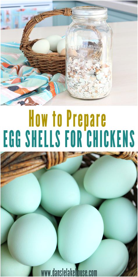 How to prepare egg shells for chickens Bake Egg Shells, Feeding Chickens Egg Shells, Omelette Station, Urban Chicken Farming, Cute Dog Toys, Prepared Eggs, Raising Chicks, Chicken Coup, Diy Chicken Coop Plans