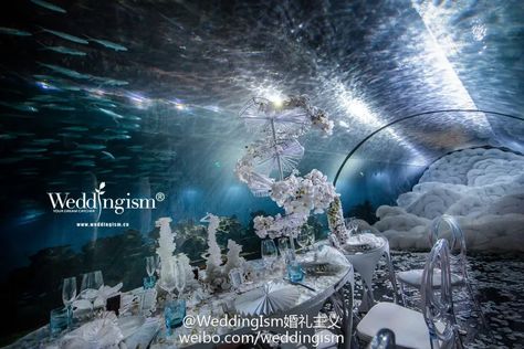 Aquarium Wedding – Weddingism Under The Sea Wedding Theme, Under The Sea Wedding, Sea Wedding Theme, Aquarium Wedding, Amazing Wedding Photos, Sea Wedding, The Aquarium, Under The Sea Party, Wedding Theme