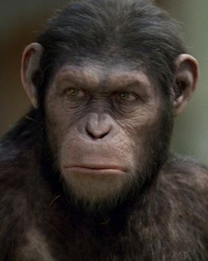 Rise of the Planet of the Apes: Caesar is my boy. I love him too. Tough, intelligent and loving apes. Dawn Of The Planet, 20th Century Studios, Zachary Levi, Sigourney Weaver, John Krasinski, Motion Capture, Brand Assets, Planet Of The Apes, Planet Fitness Workout