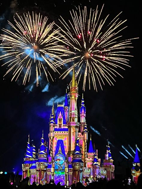 Disney College Program Enchanted Fireworks Disney Fireworks Wallpaper, Disney World Vision Board, Walt Disney Aesthetic, Walt Disney World Aesthetic, Magic Kingdom Aesthetic, Disney Castle Fireworks, Firework Aesthetic, Magic Kingdom Pictures, Disney World Fireworks