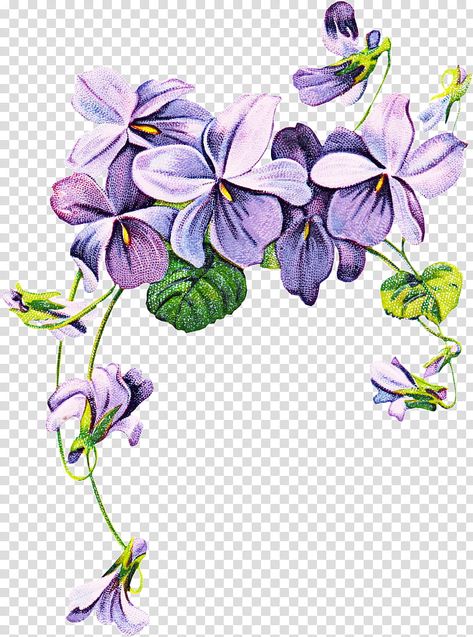 Violet Flower Tattoos, Violet Tattoo, Watercolor Border, Wreath Drawing, Flower Drawing Design, Sweet Violets, Drawing Clipart, Pansies Flowers, Purple Watercolor