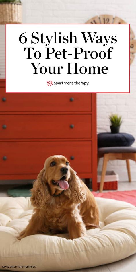 Here's how to pet-proof your home without compromising on design. #pets #petproof #petcare #petparenting #pettraining #petfriendly #designtips Pet Friendly Home Ideas, Dog Friendly Decor, Pet Friendly Home Design, Dog At Home Aesthetic, Dog Friendly Home Design, Dog Friendly Interior Design, Pet Friendly Apartment Ideas, Pet Friendly Living Room Ideas, Dog Friendly Bedroom Ideas