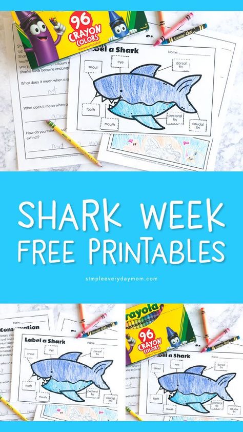 Shark Week Activities For Kids | Have fun watching shark week with these awesome free printable shark worksheets that teach the parts of a shark, plus shark conservation!   #sharkweek #ocean #kindergartenworksheets #earlychildhood #educationalactivities #learningactivities #kidsactivities #kidsandparenting Shark Week Activities For Kids, Shark Week Activities, Camping Worksheets, Preschool Camping, Shark Activities, Shark Week Party, Free Printables For Kids, Camping Classroom, Ocean Unit