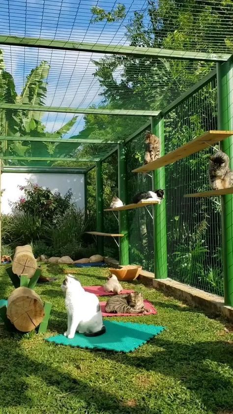 Cat Fence, Cat Patio, Cat Hotel, Outdoor Cat Enclosure, Cat House Diy, Pet Enclosure, Cat Sanctuary, Outdoor Cat House, Cats Diy Projects