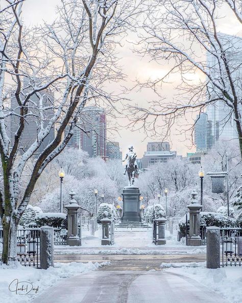 Boston Park Plaza on Instagram: “Our very own snow globe ❄️⛄️✨ 📸: @jackdarylphotography . . . . . . . . . #bostonparkplaza #bostoncommon #bostonpublicgarden…” Boston Snow, Snowy Places, Happy Birthday George, Snow Photos, Boston Public Garden, Boston Common, Post Grad, All Things New, Dirty Water