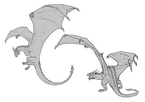 Technically they're wyverns, dragon wings sprout from their back while wyvern wings connect to their arms Thorny Dragon, Dragon Sketches, Dragon Poses, Dragon Anatomy, Dragon Sketch, Creature Drawings, Dragon Wings, Dragon Artwork, Mythical Creatures Art