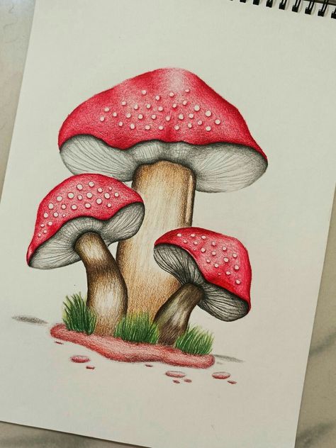 Mushroom Drawing Paintings, Flowers Drawing With Pencil Colors, Pencils Colour Art, Mushroom Art Colored Pencil, Drawing In Pencil Colour, Mushroom Ideas Drawing, Drawing Colour Pencil Easy, Drawing In Colored Pencils, Pencil Color Drawings Easy