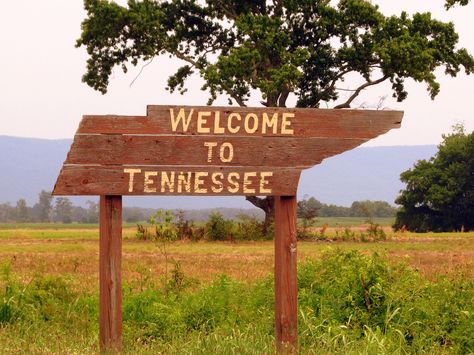 Welcome to Tennessee sign | Flickr - Photo Sharing! Tennessee Welcome Sign, Welcome To Tennessee Sign, Welcome To Nashville Sign, Tennessee Living Country, Tenesse Girl Aesthetic, Tennessee Aesthetic Country, East Tennessee Aesthetic, Tennessee Ranch, Nashville Tennessee Aesthetic