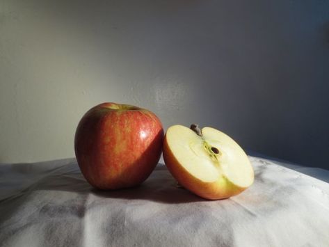 Still Life Reference, David Harvey, Life Reference, Zoom Online, Apple Images, Still Life Pictures, Life Drawing Reference, Reference Photos For Artists, Light Study