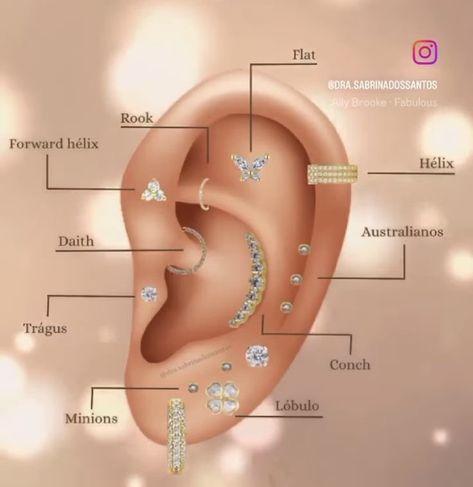 Anatomy For Industrial Piercing, Christina Piercing Location, Types Of Ear Piercings Names, Piercing Oreille Nom, Ear Piercing Map, Daith Ear Piercings, Ear Piercing Ideas Chart, Ear Piercing Diagram, Types Of Body Piercings