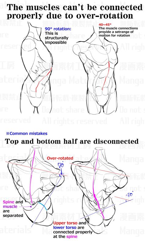 Human Anatomy Reference, Anatomy Tutorial, Human Anatomy Drawing, Human Figure Drawing, Human Anatomy Art, Anatomy Sketches, Drawing Guide, Body Reference Drawing, Anatomy Poses